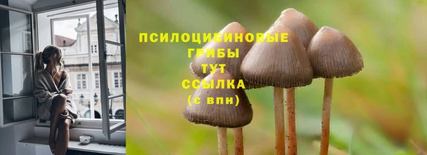 гидра Козельск
