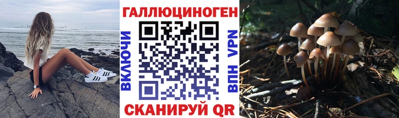 ОМГ ОМГ ссылка  Красноармейск  Псилоцибиновые грибы Cubensis 