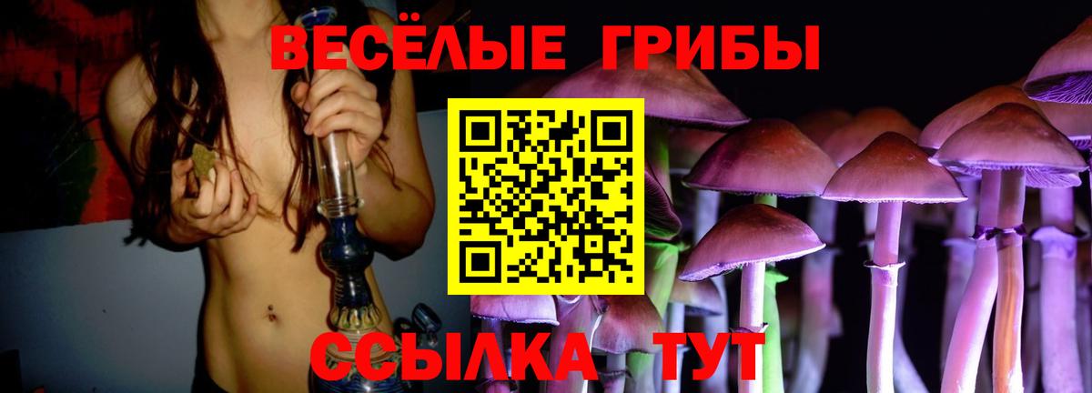 Красноармейск  Галлюциногенные грибы GOLDEN TEACHER  Вход с VPN 
